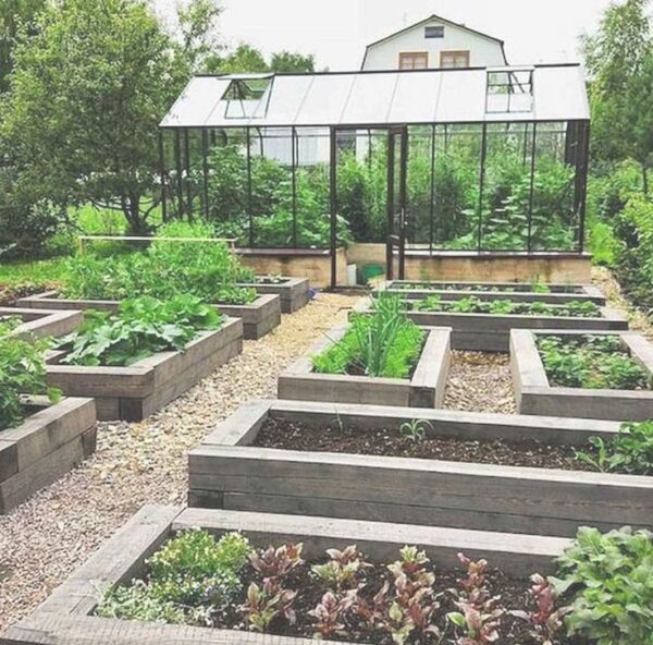 Dream Garden Design