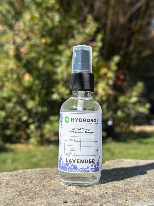 il_fullxfull.6628215764_d9ig.jpg Lavender hydrosol, Lavender hydrolat, Lavender floral water, Lavender Essential Oil