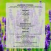 il_fullxfull.6672302691_suhy.jpg Lavender hydrosol, Lavender hydrolat, Lavender floral water, Lavender Essential Oil