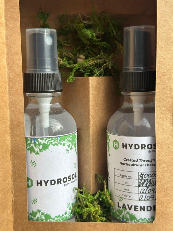 Marygold hydrosol, Marygold hydrolat, Marygold floral water, Marygold Essential Oil