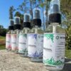 Aloe hydrosol, Aloe hydrolat, Aloe floral water, Aloe Essential Oil