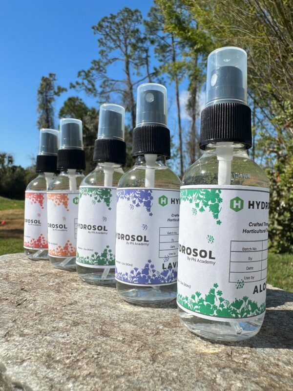 Aloe hydrosol, Aloe hydrolat, Aloe floral water, Aloe Essential Oil