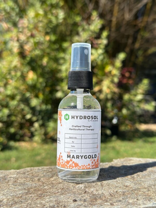 Marygold hydrosol, Marygold hydrolat, Marygold floral water, Marygold Essential Oil